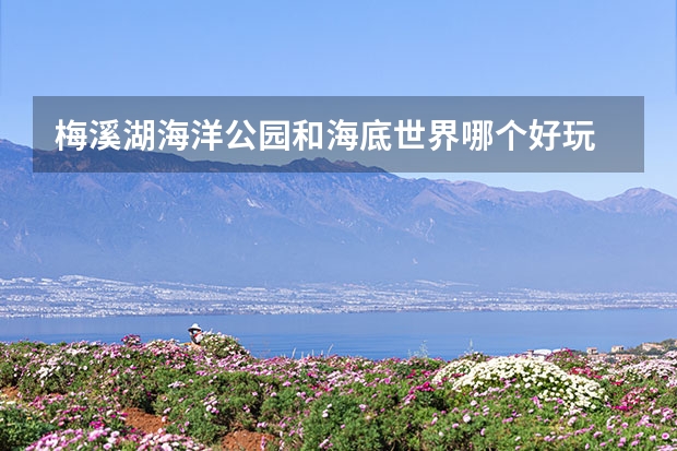 梅溪湖海洋公园和海底世界哪个好玩