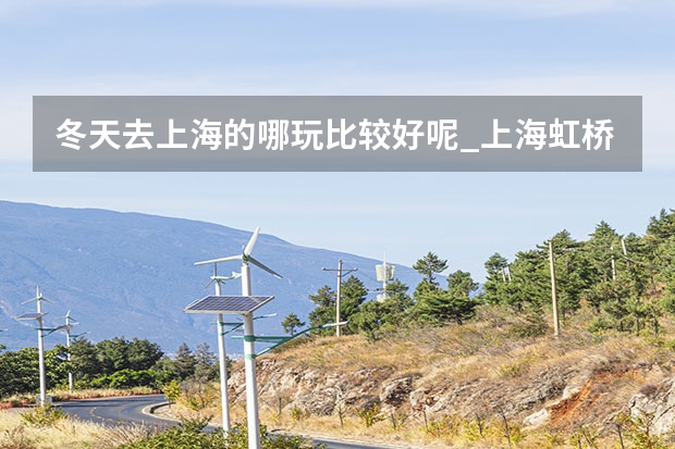 冬天去上海的哪玩比较好呢_上海虹桥站周边有哪些城市