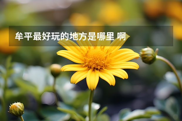 牟平最好玩的地方是哪里 啊