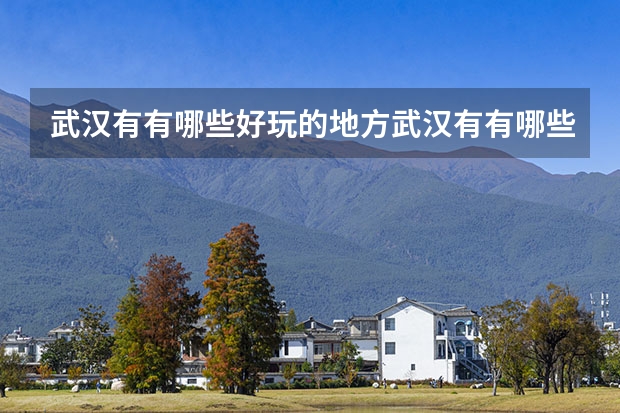 武汉有有哪些好玩的地方武汉有有哪些好玩的地方
