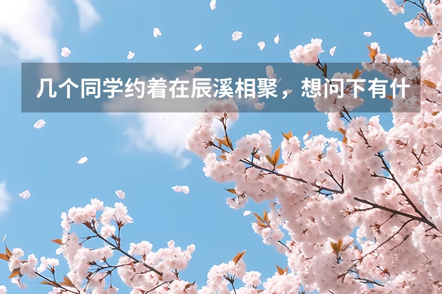 几个同学约着在辰溪相聚,想问下有什么好玩的地方