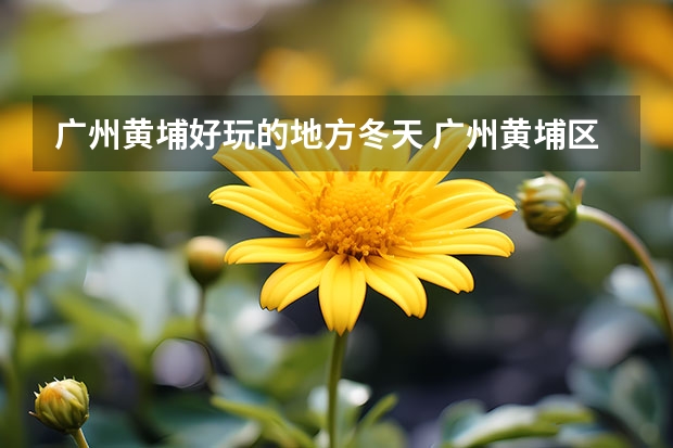 广州黄埔好玩的地方冬天 广州黄埔区8个好玩去处