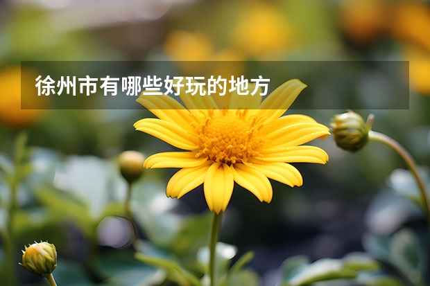徐州市有哪些好玩的地方