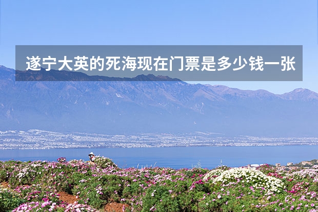 遂宁大英的死海现在门票是多少钱一张？