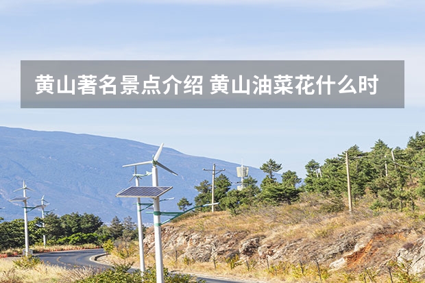 黄山著名景点介绍 黄山油菜花什么时候开,黄山油菜花最佳观赏地点推荐