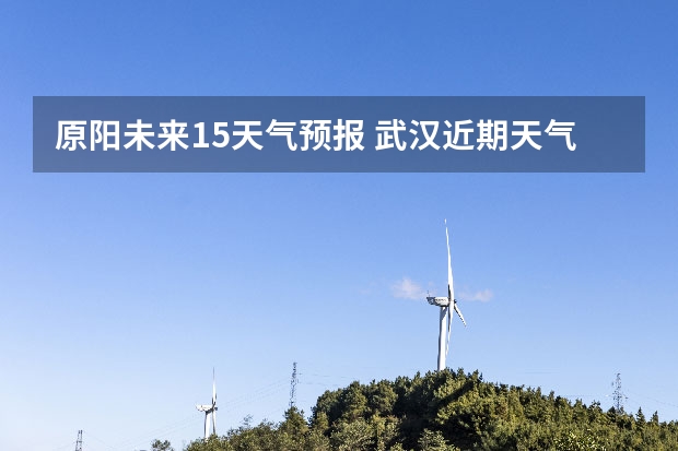 原阳未来15天气预报 武汉近期天气预报2月14、15、16日