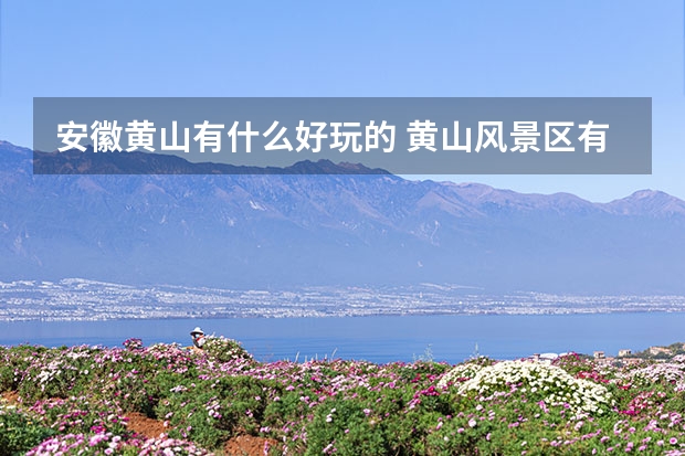 安徽黄山有什么好玩的 黄山风景区有几个景点(黄山风景区有哪些主要景点)