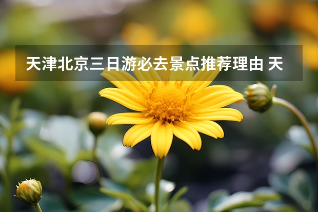 天津北京三日游必去景点推荐理由 天津旅游三大必去旅游景点有哪些?可以简单介绍下么?