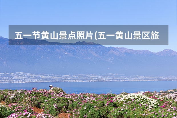 五一节黄山景点照片(五一黄山景区旅游数据) 黄山门票优惠政策_黄山门票学生优惠多少