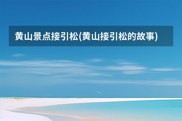 黄山景点接引松(黄山接引松的故事) 黄山哪里好玩的景点(黄山哪里好玩的景点排名)