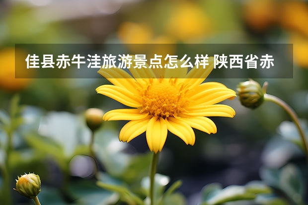 佳县赤牛洼旅游景点怎么样 陕西省赤牛洼在哪里