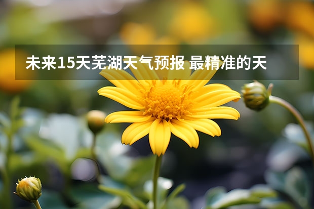 未来15天芜湖天气预报 最精准的天气预报排名