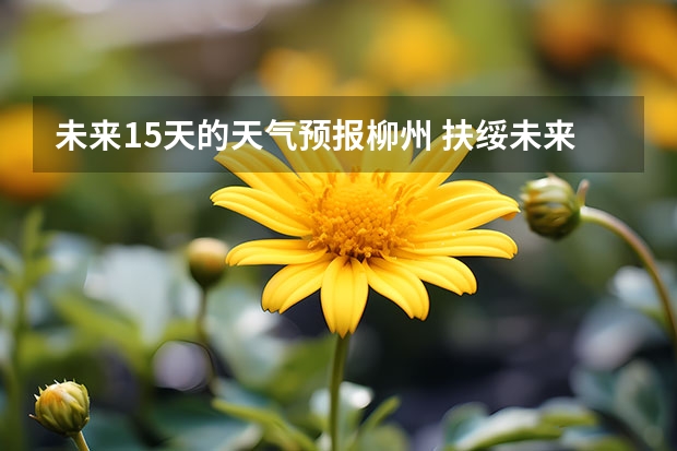 未来15天的天气预报柳州 扶绥未来十五天天气预测