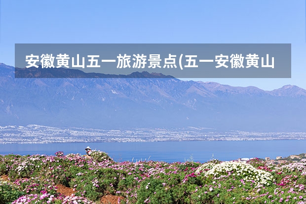 安徽黄山五一旅游景点(五一安徽黄山旅游景点攻略) 去黄山旅游大概多少钱