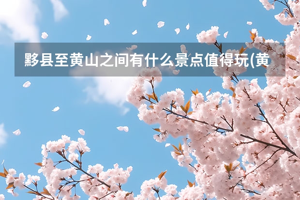 黟县至黄山之间有什么景点值得玩(黄山黟县有什么好玩的地方) 黄山九大景点(黄山的六大景区)