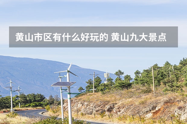 黄山市区有什么好玩的 黄山九大景点(黄山的六大景区)