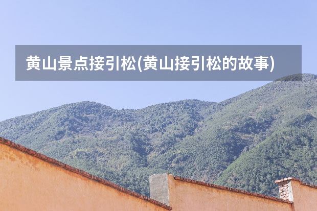 黄山景点接引松(黄山接引松的故事) 黄山有什么特产_黄山有哪些特产