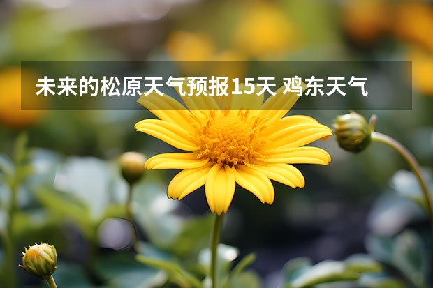 未来的松原天气预报15天 鸡东天气预报鸡东天气预报未来15天