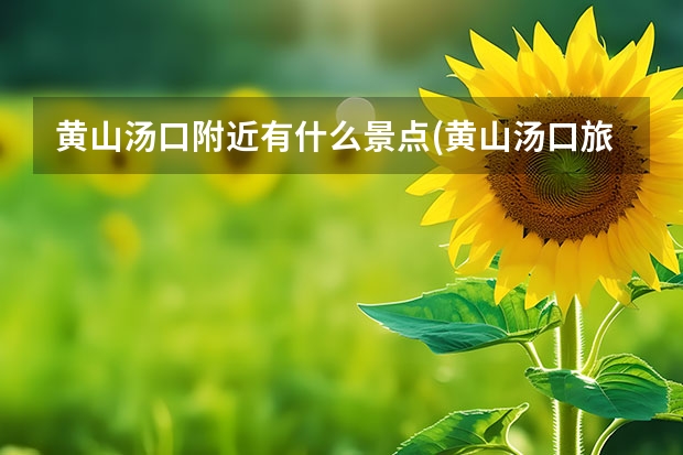 黄山汤口附近有什么景点(黄山汤口旅游攻略) 冬天去哪里旅游合适吗,黄山亚布力滑雪旅游开放参观
