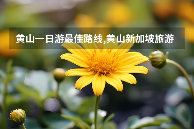 黄山一日游最佳路线,黄山新加坡旅游攻略 黄山周边景点冬季游玩(黄山周边景点冬季游玩路线)