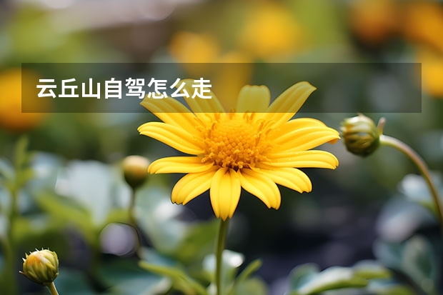 云丘山自驾怎么走 
