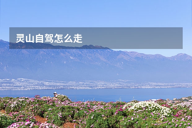 灵山自驾怎么走 