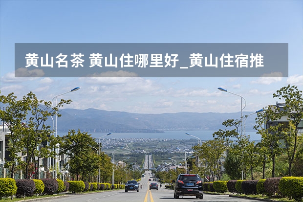 黄山名茶 黄山住哪里好_黄山住宿推荐
