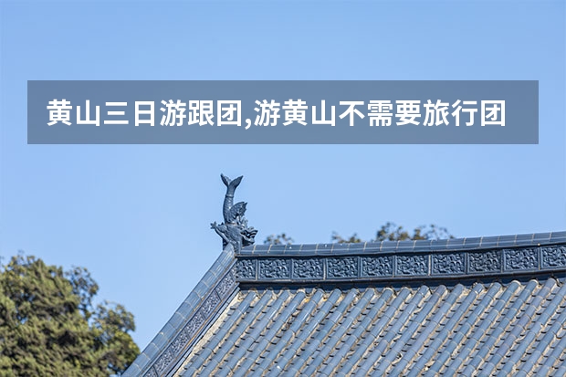 黄山三日游跟团,游黄山不需要旅行团一是人少二是住宿也便宜 从上海到黄山四天的自驾游，有哪些好的路线规划及意见建议