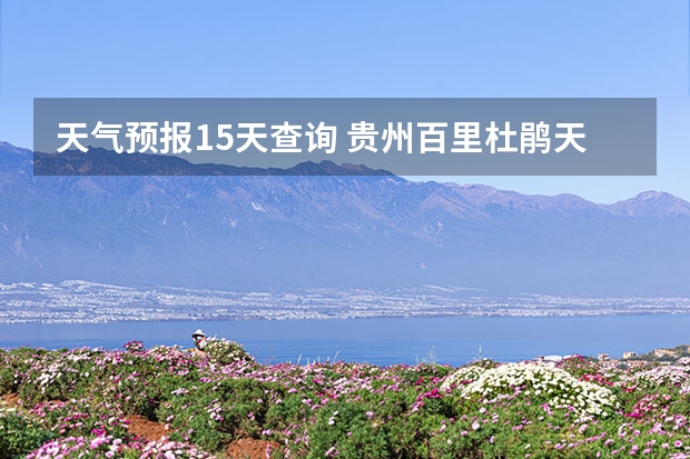 天气预报15天查询 贵州百里杜鹃天气15天查询 鸡东天气预报鸡东天气预报未来15天