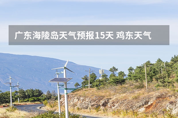 广东海陵岛天气预报15天 鸡东天气预报鸡东天气预报未来15天 葫芦岛天气预报15天葫芦岛天气预报15天查询当地疫情