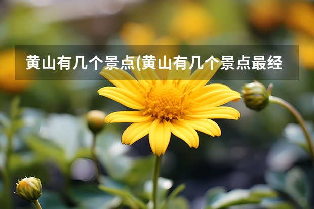 黄山有几个景点(黄山有几个景点最经典) 黄山室内景点(黄山旅游景点)
