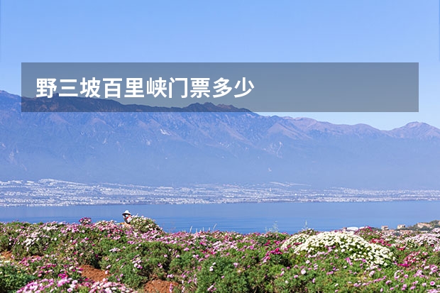 野三坡百里峡门票多少