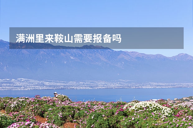 满洲里来鞍山需要报备吗