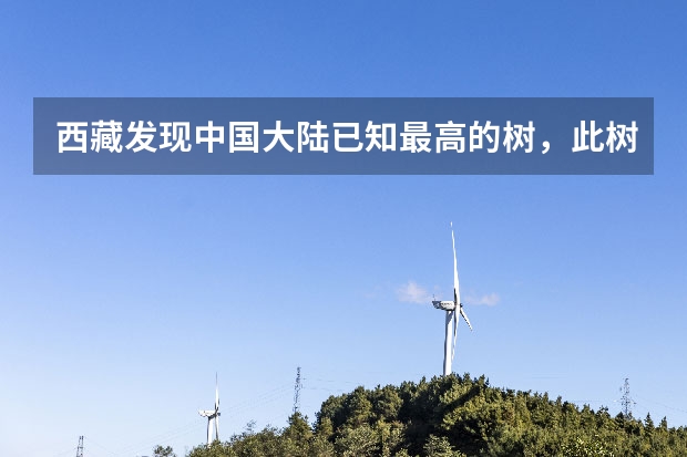 西藏发现中国大陆已知最高的树,此树有哪些研究价值?
