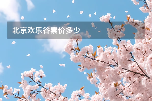 北京欢乐谷票价多少
