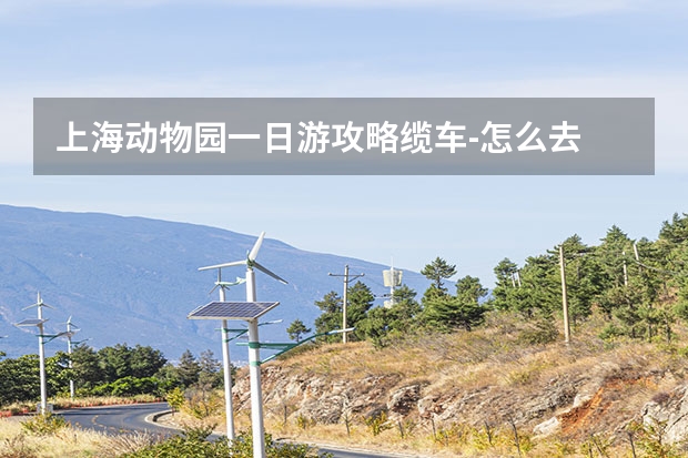 上海动物园一日游攻略缆车-怎么去