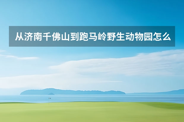 从济南千佛山到跑马岭野生动物园怎么做公交车