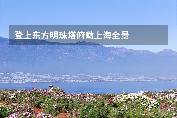 登上东方明珠塔俯瞰上海全景