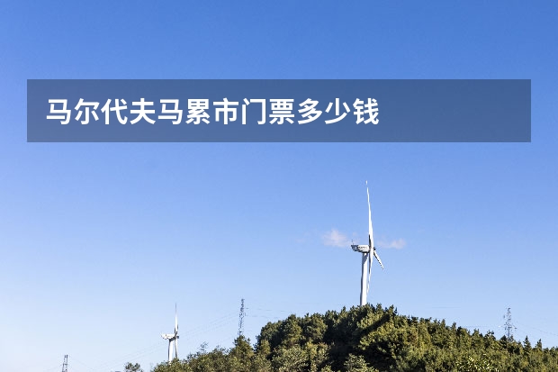 马尔代夫马累市门票多少钱