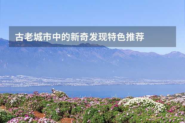 古老城市中的新奇发现特色推荐