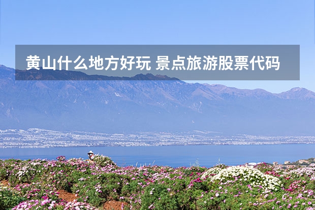 黄山什么地方好玩 景点旅游股票代码是什么,黄山旅游历史最新股价17.71元