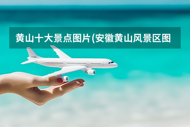 黄山十大景点图片(安徽黄山风景区图片 黄山哪些景点比较累人(游黄山累吗