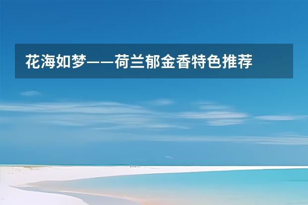 花海如梦——荷兰郁金香特色推荐