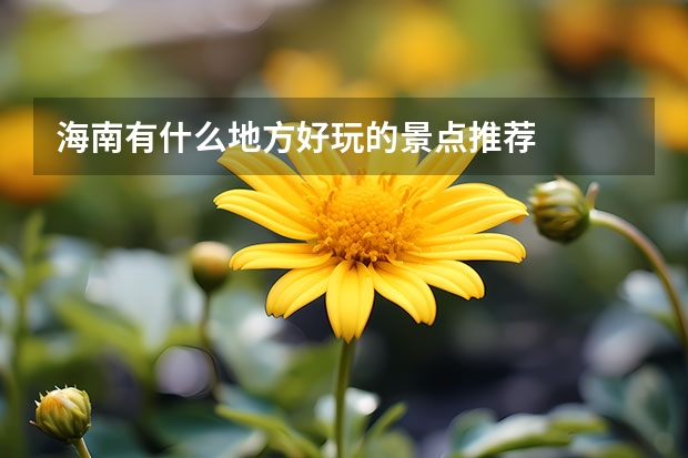 海南有什么地方好玩的景点推荐