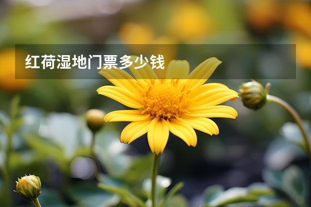 红荷湿地门票多少钱