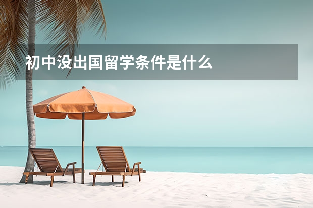 初中没出国留学条件是什么