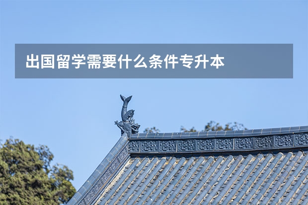 出国留学需要什么条件专升本