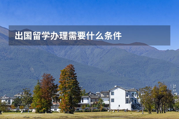 出国留学办理需要什么条件