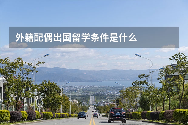 外籍配偶出国留学条件是什么