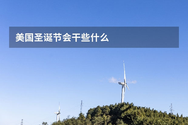 美国圣诞节会干些什么